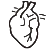 S36 S36