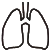S37 S37