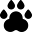 16 16