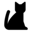19 19