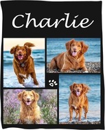 4 Bilder & Text 4 Bilder & Text