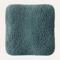 Petrol