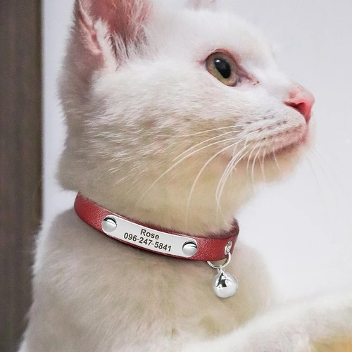 katzenhalsband