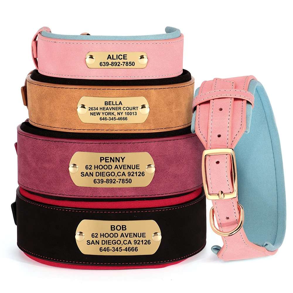 Hunde Halsband mit Gravur | Foto-Schmuck | Produkt in Person