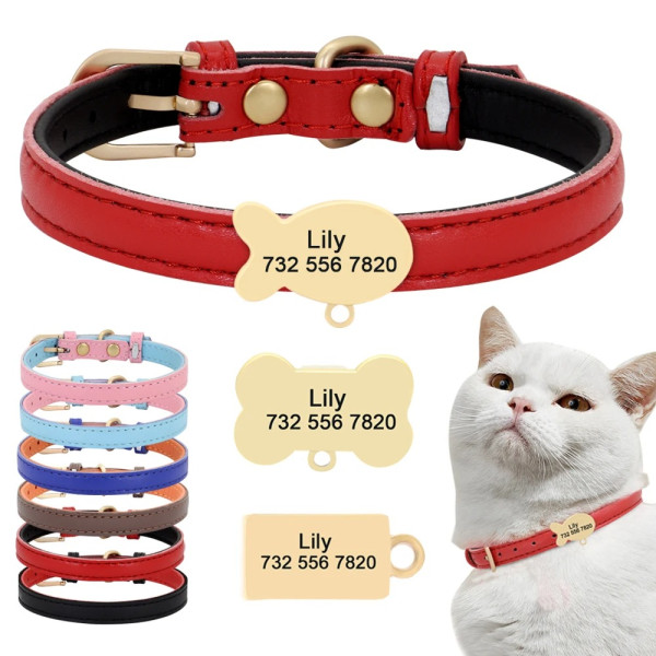 Haustier Halsband mit Namen – Personalisiertes Halsband mit Wunschtext Gravur