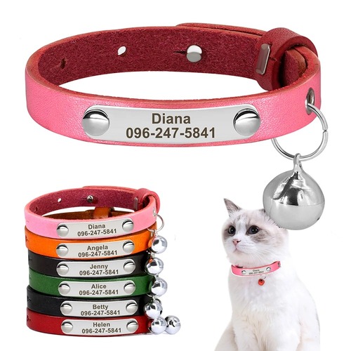 halsband-mit-name