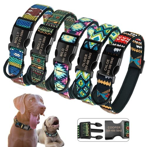 hundehalsband-mit-gravur